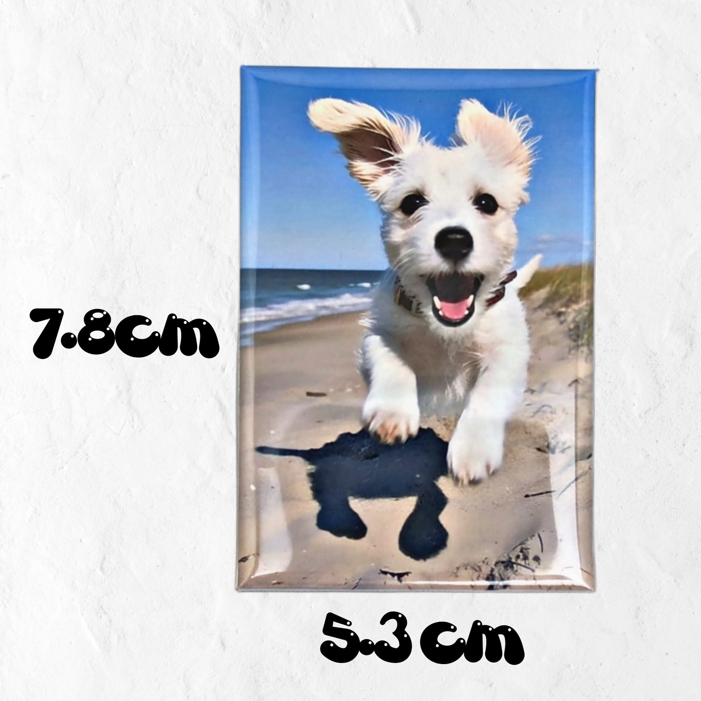 Personalised Photo Magnets